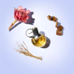 Azzaro Wanted Girl Eau De Parfum 50ml 1.69fl.oz -Ly-skin Sales Store LySkin Azzaro wanted girl eau de parfum 50ml 1.69 fl oz AZZ0006 1