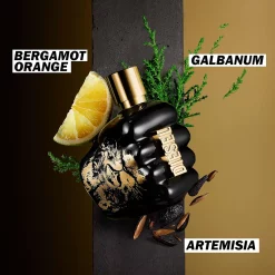 Diesel Spirit Of The Brave Eau De Toilette 75ml 2.5fl. Oz -Ly-skin Sales Store LySkin Diesel spirit of the brave eau de toilette composition 2