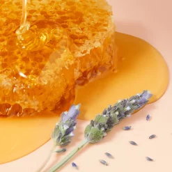 Nuxe Rêve De Miel Honey Lip Gloss 10ml 0.34fl.oz -Ly-skin Sales Store LySkin Nuxe reve de miel honey lip gloss 10m 0.34fl.oz NUX00204 6